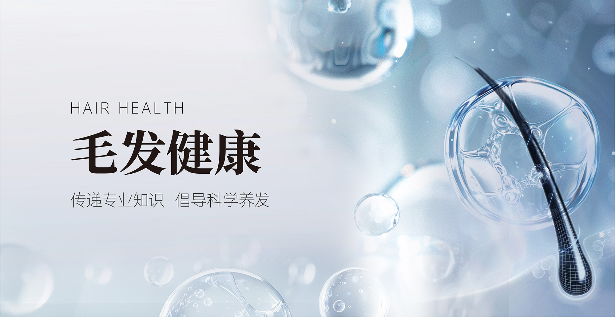 TONSON白发脱发中心-毛发健康